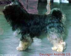 Daulagiri Ananda